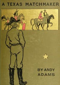 A Texas Matchmaker book cover