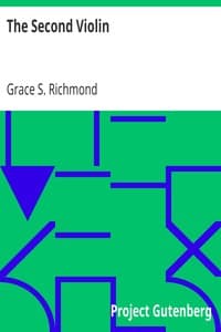 The Second Violin book cover