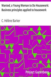 Wanted, a Young Woman to Do Housework: Business principles applied to housework book cover