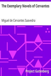 The Exemplary Novels of Cervantes book cover