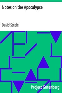 Notes on the Apocalypse book cover