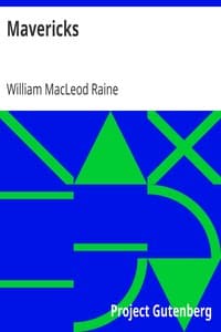 Mavericks book cover