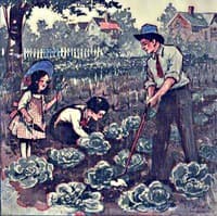 Daddy Takes Us to the Garden
The Daddy Series for Little Folks book cover