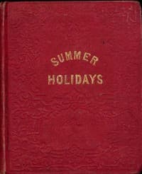 The summer holidays book cover