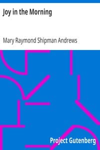 Joy in the Morning book cover