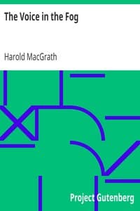 The Voice in the Fog book cover