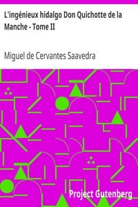 L'ingénieux hidalgo Don Quichotte de la Manche - Tome II