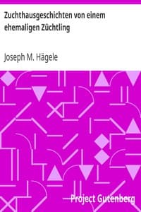 Zuchthausgeschichten von einem ehemaligen Züchtling
Zweiter Theil book cover