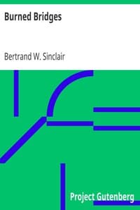 Burned Bridges book cover
