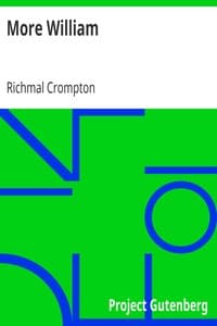 More William book cover