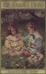 The Bobbsey Twins
Or, Merry Days Indoors and Out