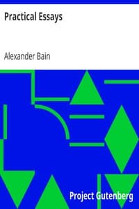 Practical Essays