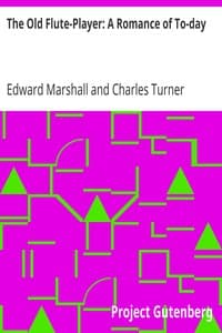 The Old Flute-Player: A Romance of To-day book cover