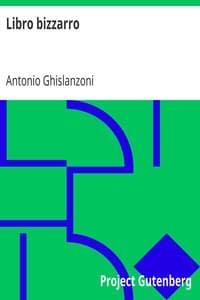 Libro bizzarro