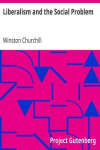 Liberalism and the Social Problem