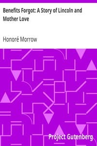 Benefits Forgot: A Story of Lincoln and Mother Love book cover