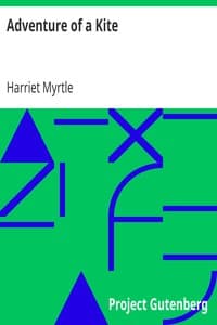 Adventure of a Kite