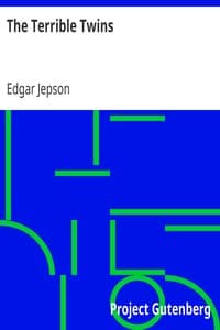 The Terrible Twins book cover