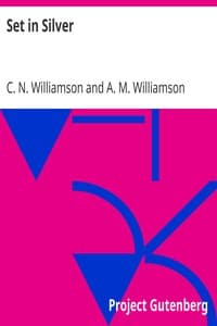 Set in Silver book cover