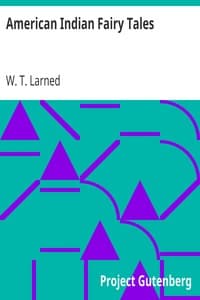American Indian Fairy Tales book cover