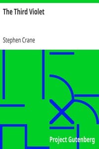 The Third Violet book cover