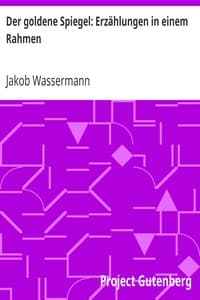 Der goldene Spiegel: Erzählungen in einem Rahmen book cover