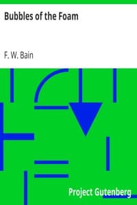 Bubbles of the Foam book cover