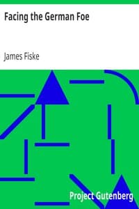 Facing the German Foe book cover