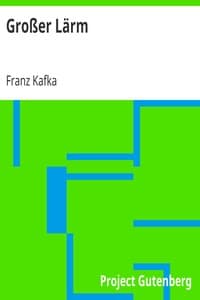 Großer Lärm book cover