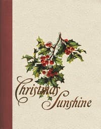 Christmas Sunshine book cover