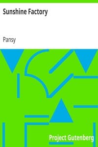 Sunshine Factory book cover