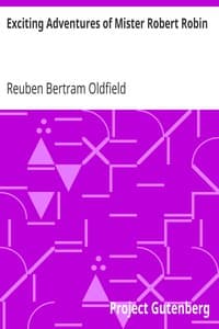 Exciting Adventures of Mister Robert Robin