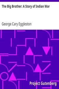 The Big Brother: A Story of Indian War