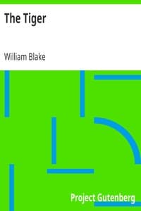 The Tiger book cover