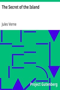 The Secret of the Island book cover