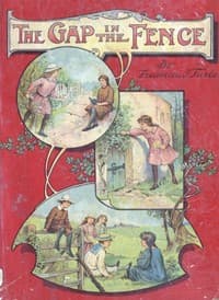 The Gap in the Fence book cover