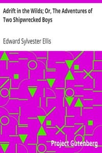 Adrift in the Wilds; Or, The Adventures of Two Shipwrecked Boys book cover
