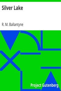 Silver Lake book cover