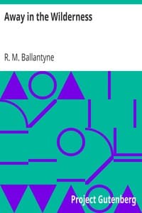 Away in the Wilderness book cover