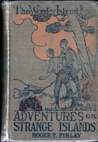 The Wonder Island Boys: Adventures on Strange Islands book cover