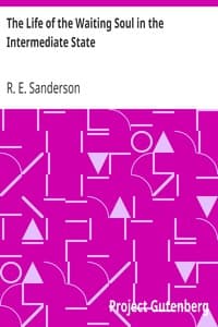 The Life of the Waiting Soul in the Intermediate State book cover