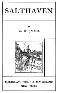 Salthaven book cover