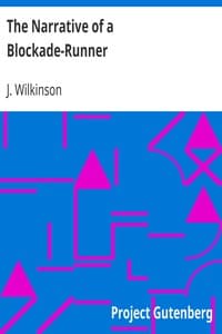 The Narrative of a Blockade-Runner book cover
