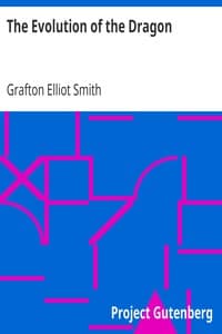The Evolution of the Dragon book cover