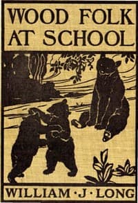 Wood folk at school