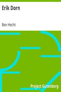 Erik Dorn book cover