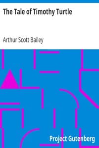 The Tale of Timothy Turtle book cover