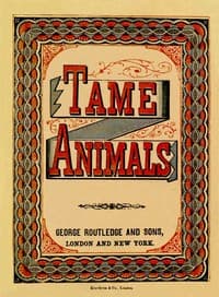 Tame Animals book cover
