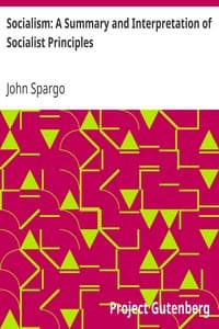 Socialism: A Summary and Interpretation of Socialist Principles book cover