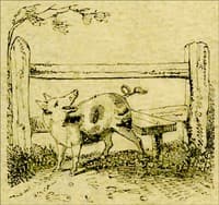 The Remarkable Adventures of an Old Woman and Her Pig
An Ancient Tale in a Modern Dress